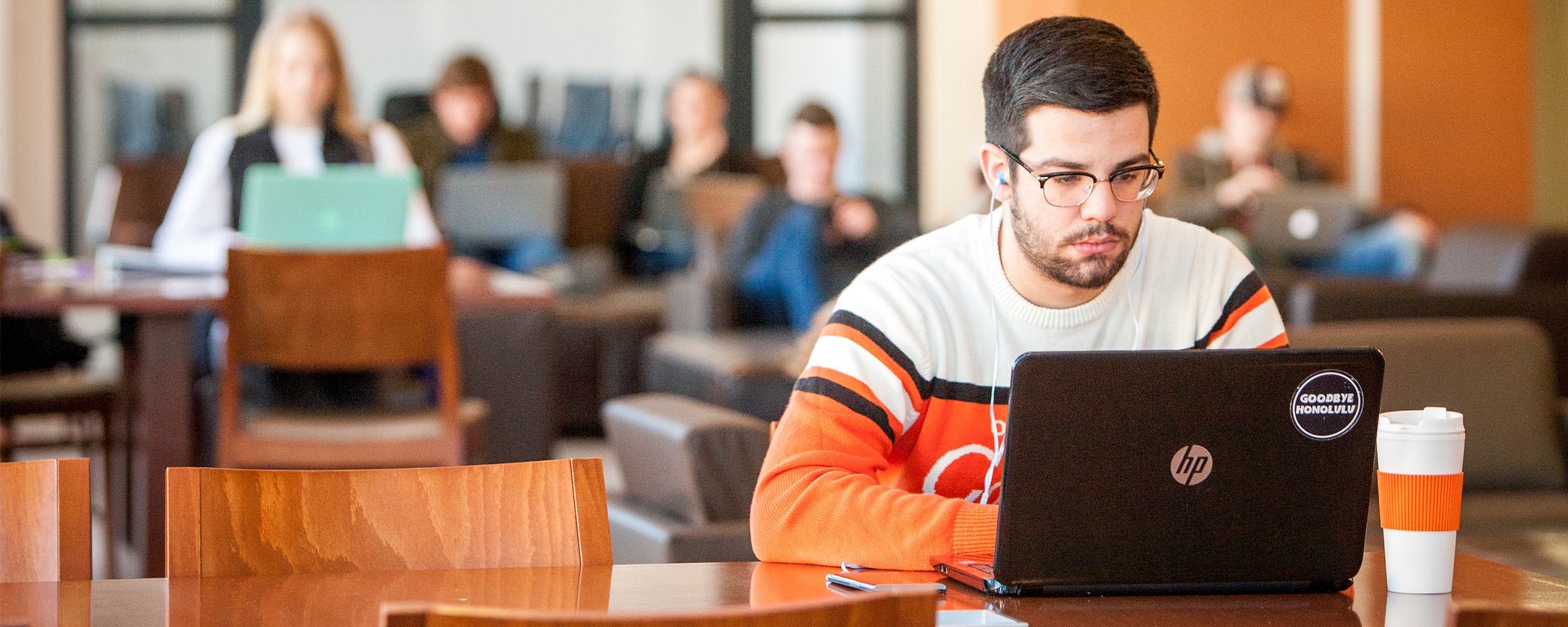 student studying on laptop