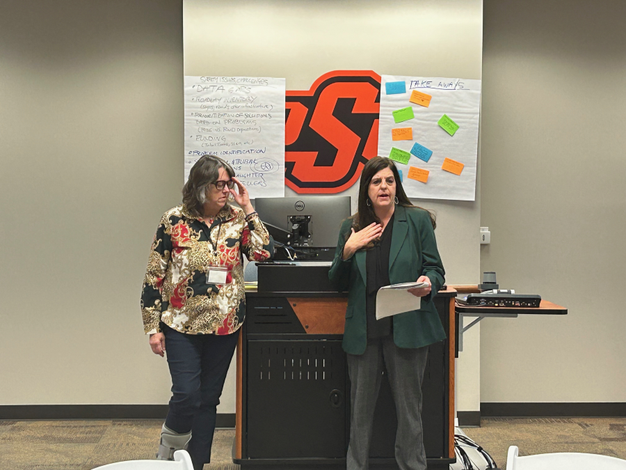 1520.png speakers at the safe systems approach for all with podium with posters in the background