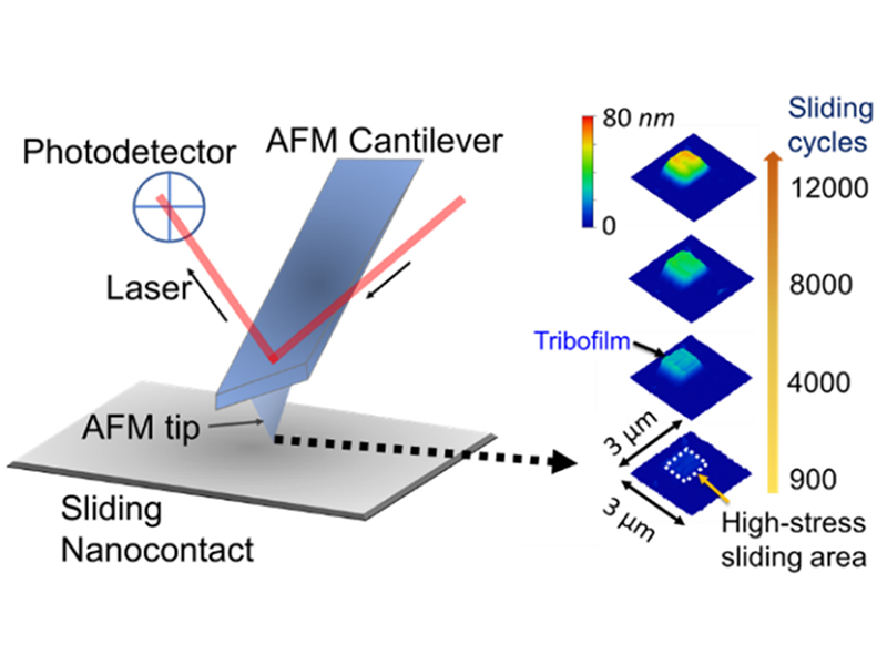 Atomic force microscope as a stress-controlled nanoreactor to study mechanochemistry at sliding contacts
