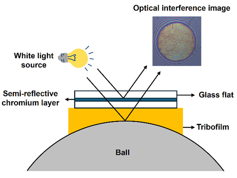 In-situ optical interferometry to probe lubrication mechanisms at sliding interfaces