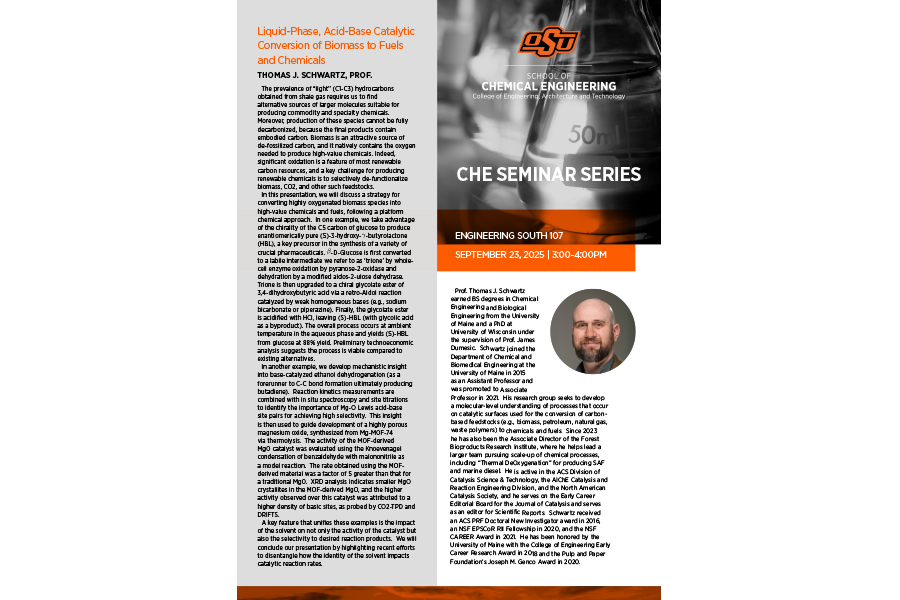 ceat seminar series flyer for thomas schwartz