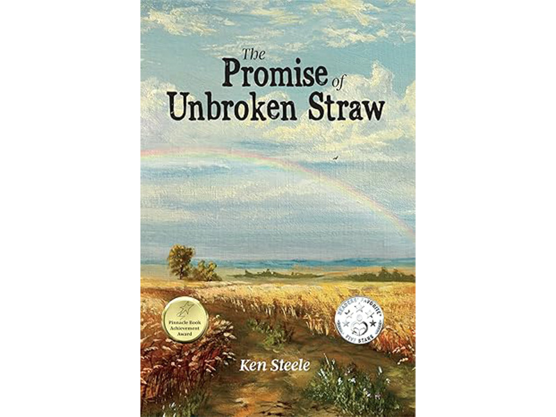 The Promise of Unbroken Straw book cover