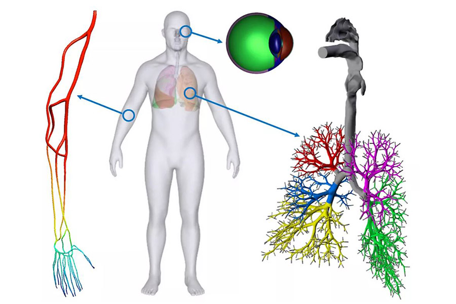 Research examples of lung aerosol dynamics