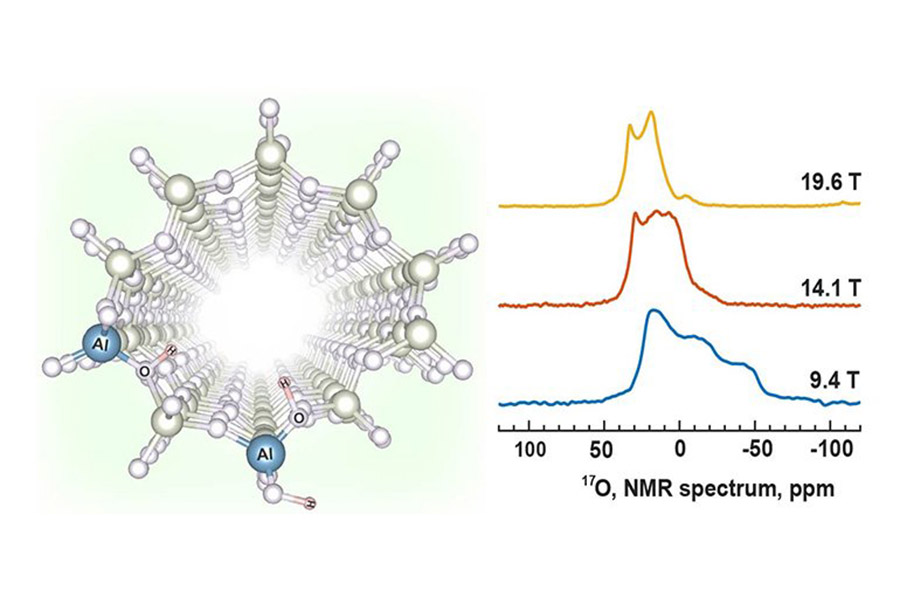 A zeolite micropore and pair of active sites.