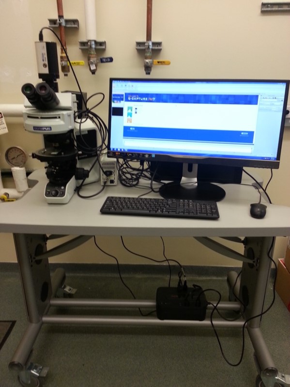 Temperature/Shear Controlled Microscope
