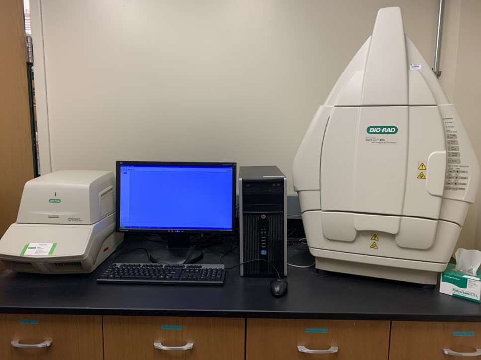 Fig. 6. Bio-Rad CFX Connect PCR Detection System Bio-Rad CFX Connect PCR Detection System