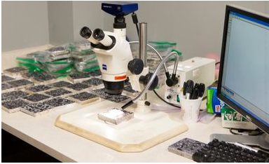 Zeiss Stemi Stereo Microscope with Digital Camera