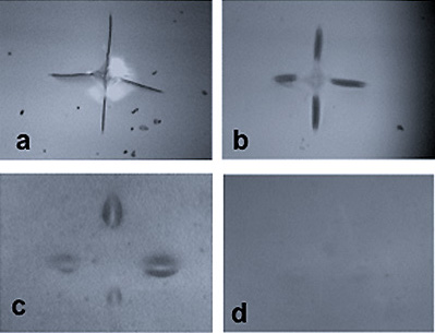 High Temperature Sealing Materials that Self-Repairs