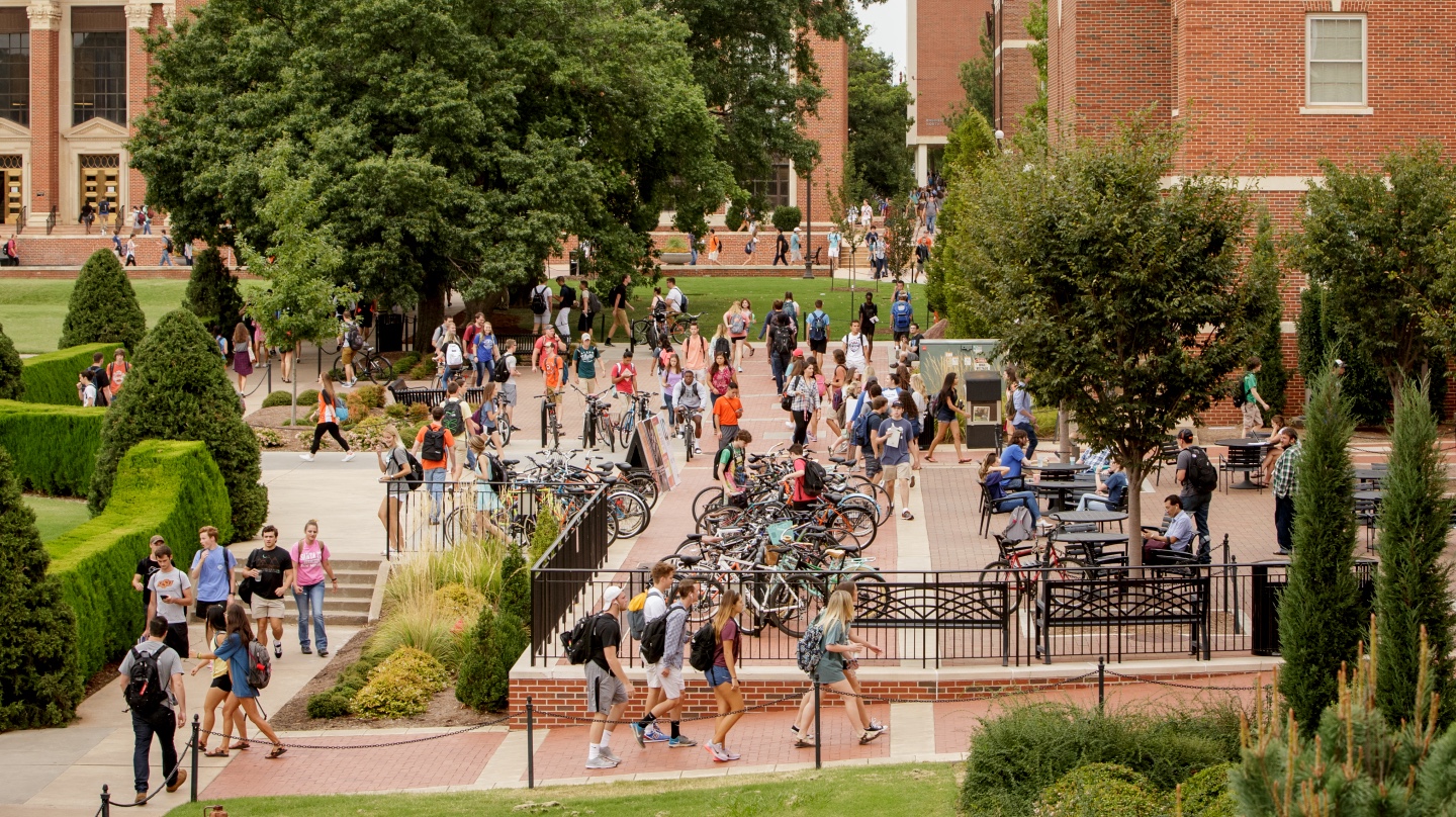 This is alt text for the image This is alt text for the image