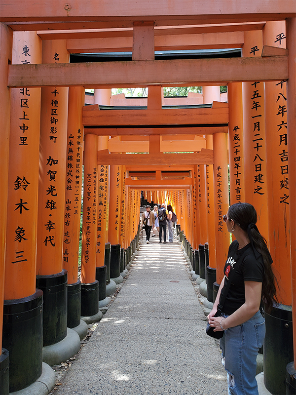 study abroad south korea